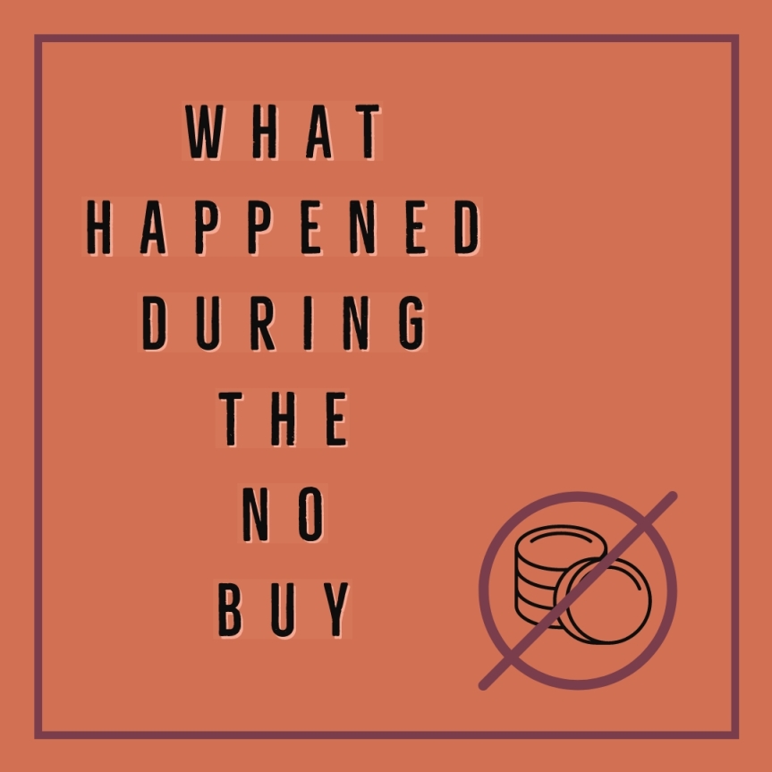 What Happened During the No-Buy